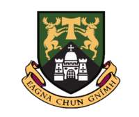 University of Limerick Logo