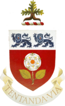 York University Logo